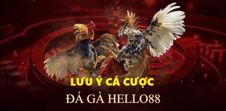 Đá gà Hello88